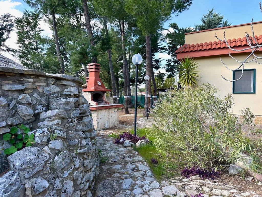 immagine annuncio 9 di 14