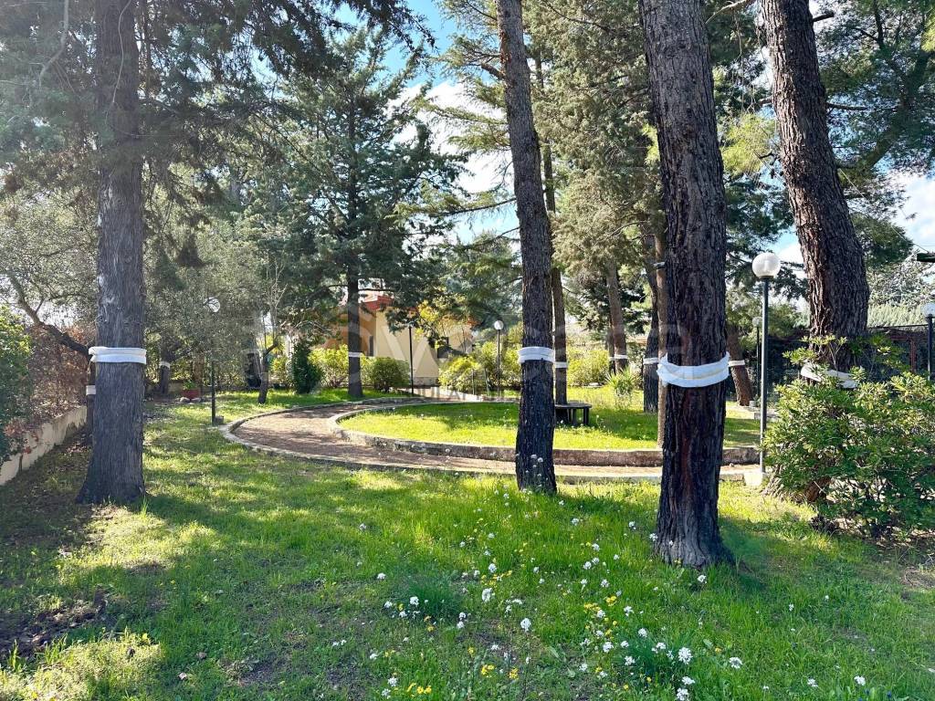 immagine annuncio 8 di 14