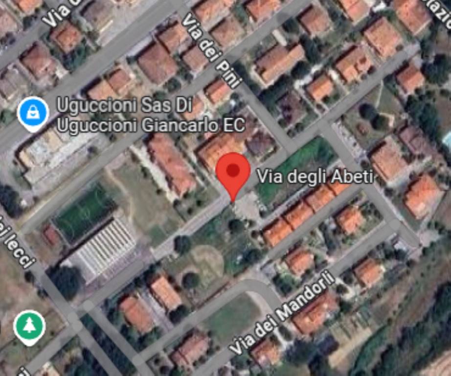 immagine annuncio 2 di 10