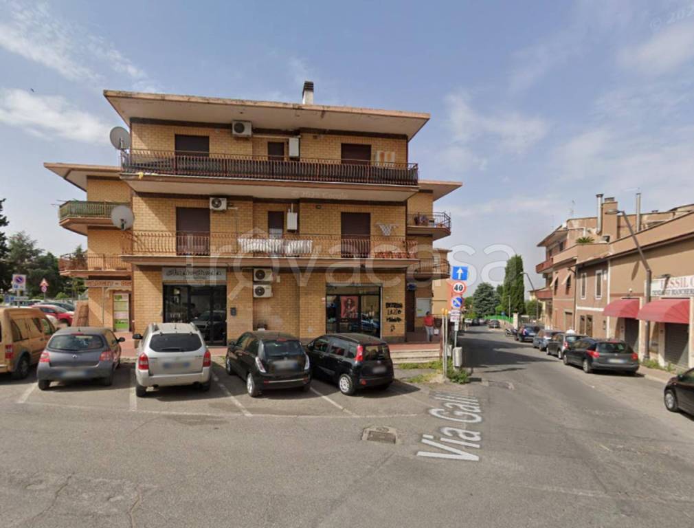 immagine annuncio 5 di 10