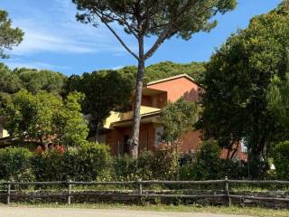 Villa bifamiliare in vendita a castiglione della pescaia via molise, 2