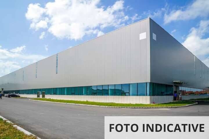 immagine annuncio 9 di 11
