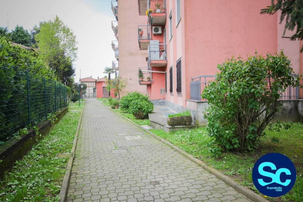 immagine annuncio 1 di 15