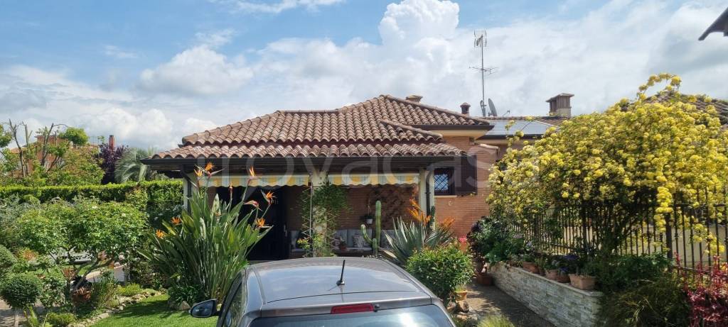immagine annuncio 2 di 15