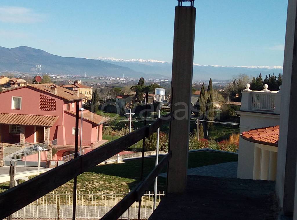 immagine annuncio 3 di 6