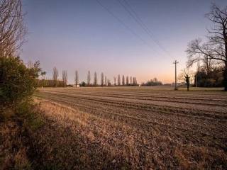 Terreno agricolo in vendita a preganziol 