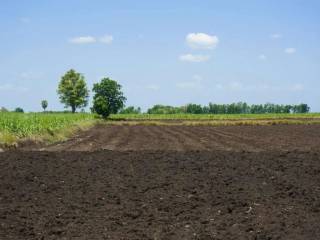 Terreno agricolo in vendita a santa lucia di piave via giuseppe mazzini, 6