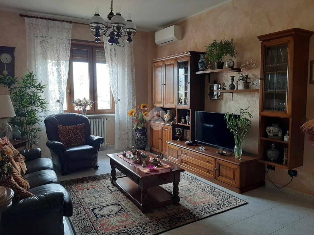 immagine annuncio 4 di 14