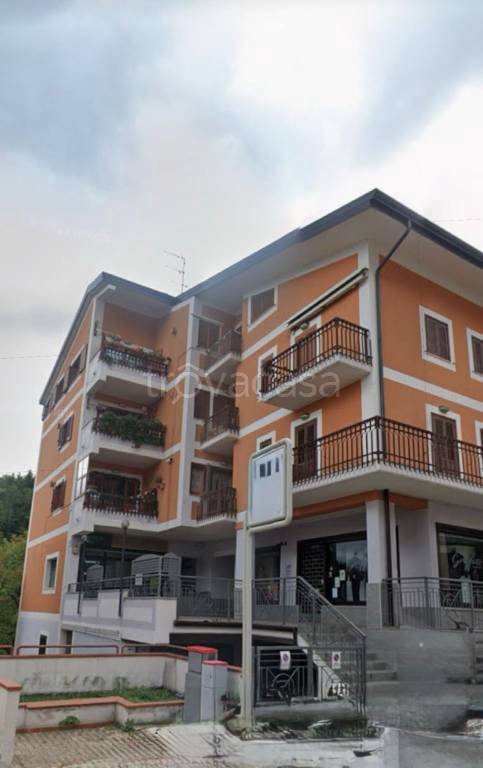 immagine annuncio 2 di 11