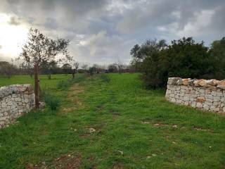 Terreno agricolo in vendita a carovigno contrada colacavallo s.n.c.