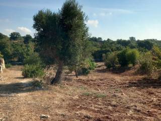 Terreno agricolo in vendita a ceglie messapica contrada monte marcucci s.n.c.