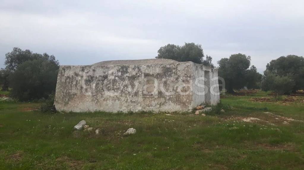 immagine annuncio 11 di 13