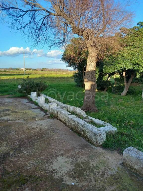 immagine annuncio 3 di 9