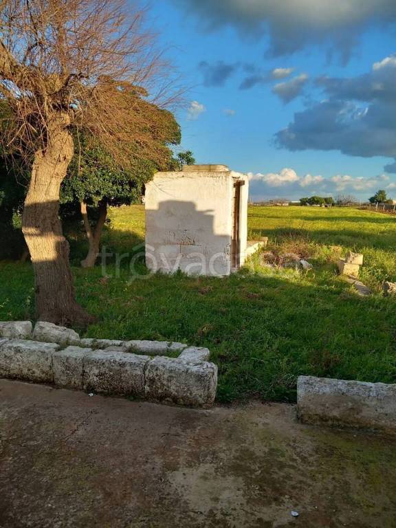 immagine annuncio 4 di 9