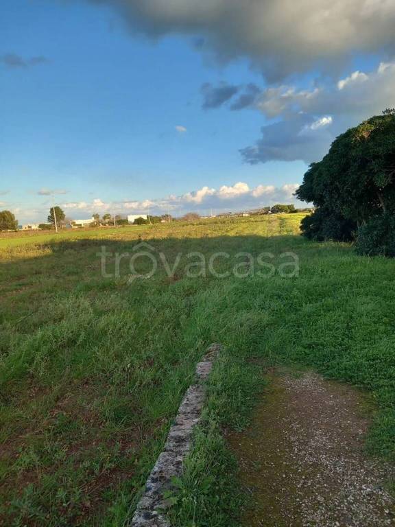 immagine annuncio 7 di 9