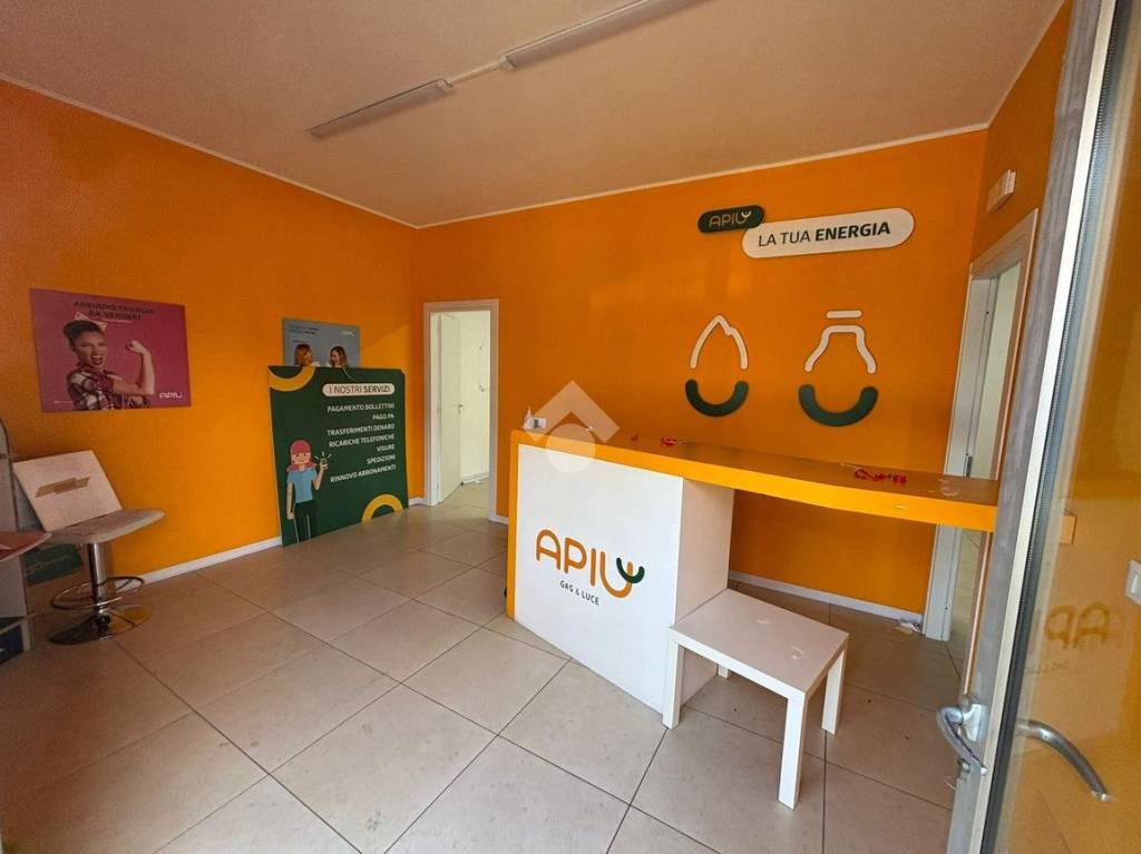 immagine annuncio 9 di 10