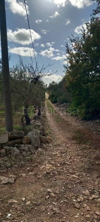 immagine annuncio 8 di 12