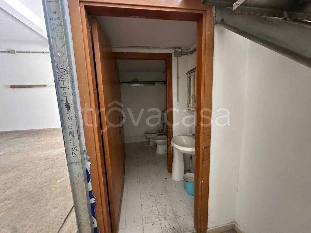 immagine annuncio 9 di 14
