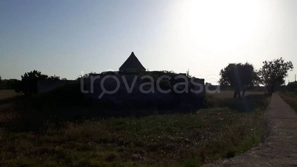 immagine annuncio 11 di 14