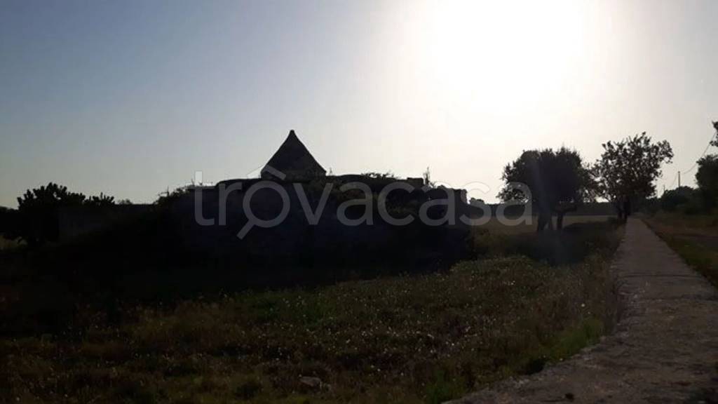 immagine annuncio 12 di 14