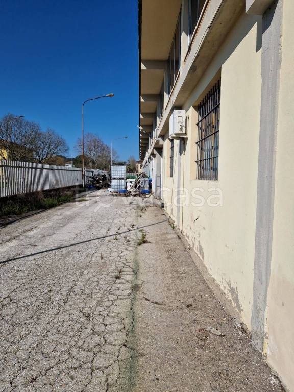 immagine annuncio 2 di 4