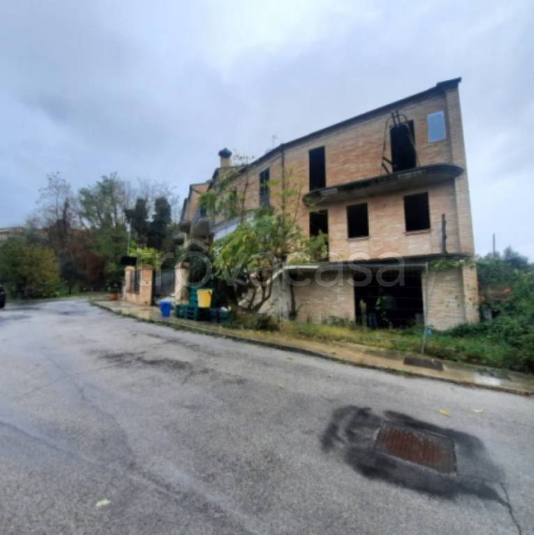 immagine annuncio 3 di 11