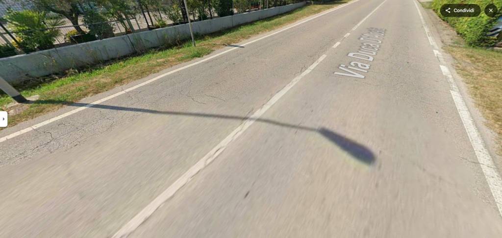 immagine annuncio 11 di 14