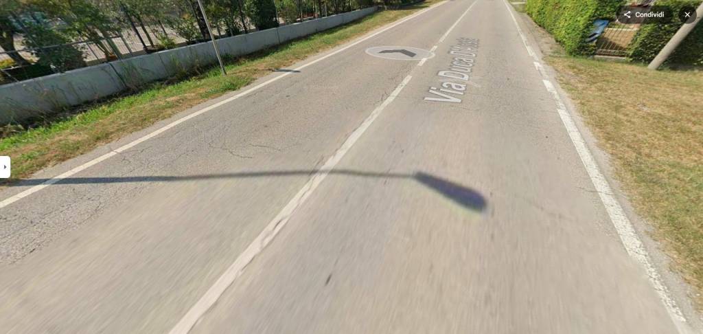 immagine annuncio 12 di 14