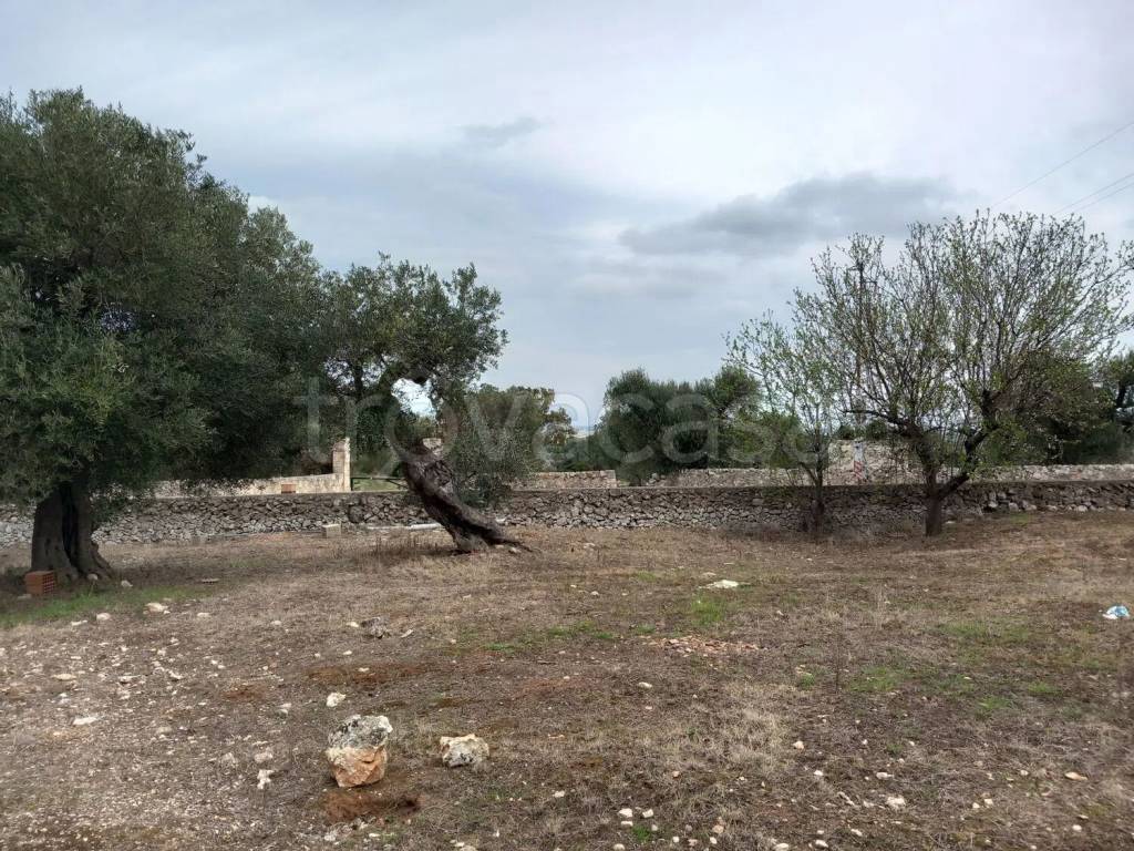 immagine annuncio 6 di 12