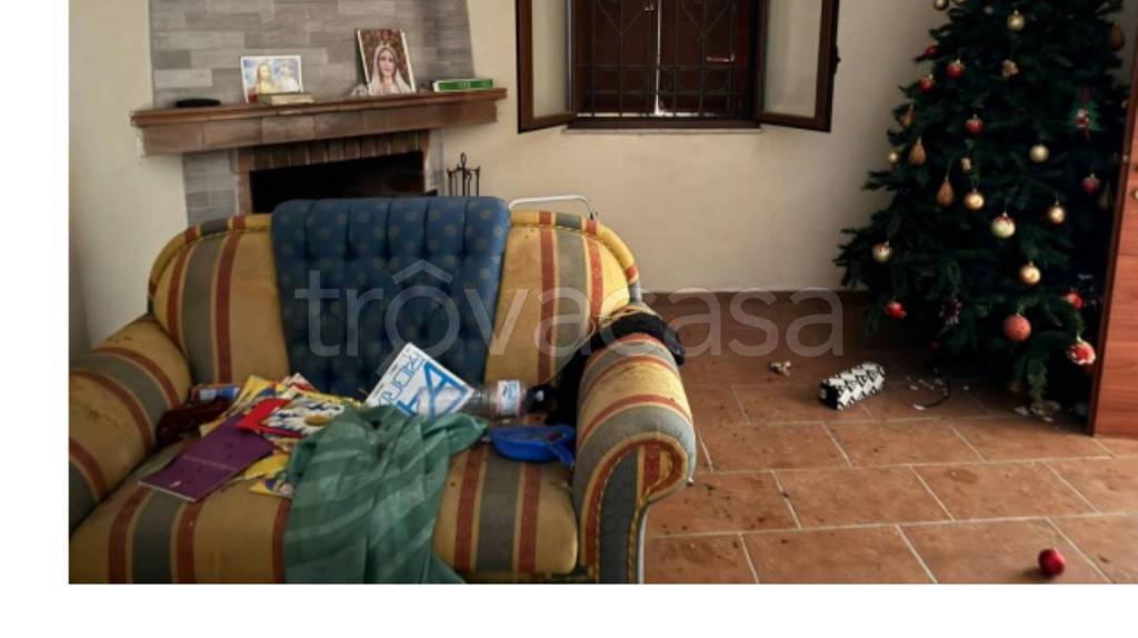 immagine annuncio 6 di 14