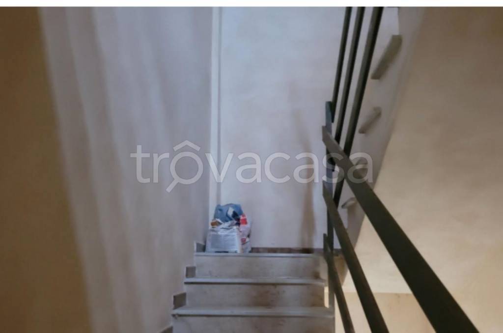 immagine annuncio 9 di 14