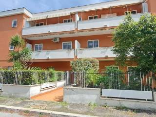 Appartamento in vendita ad albano laziale via roma