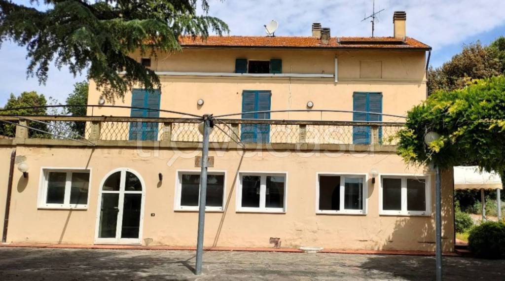 immagine annuncio 4 di 14