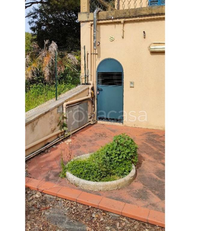immagine annuncio 11 di 14