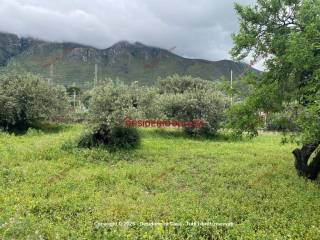 Terreno residenziale in vendita a termini imerese contrada san girolamo alto