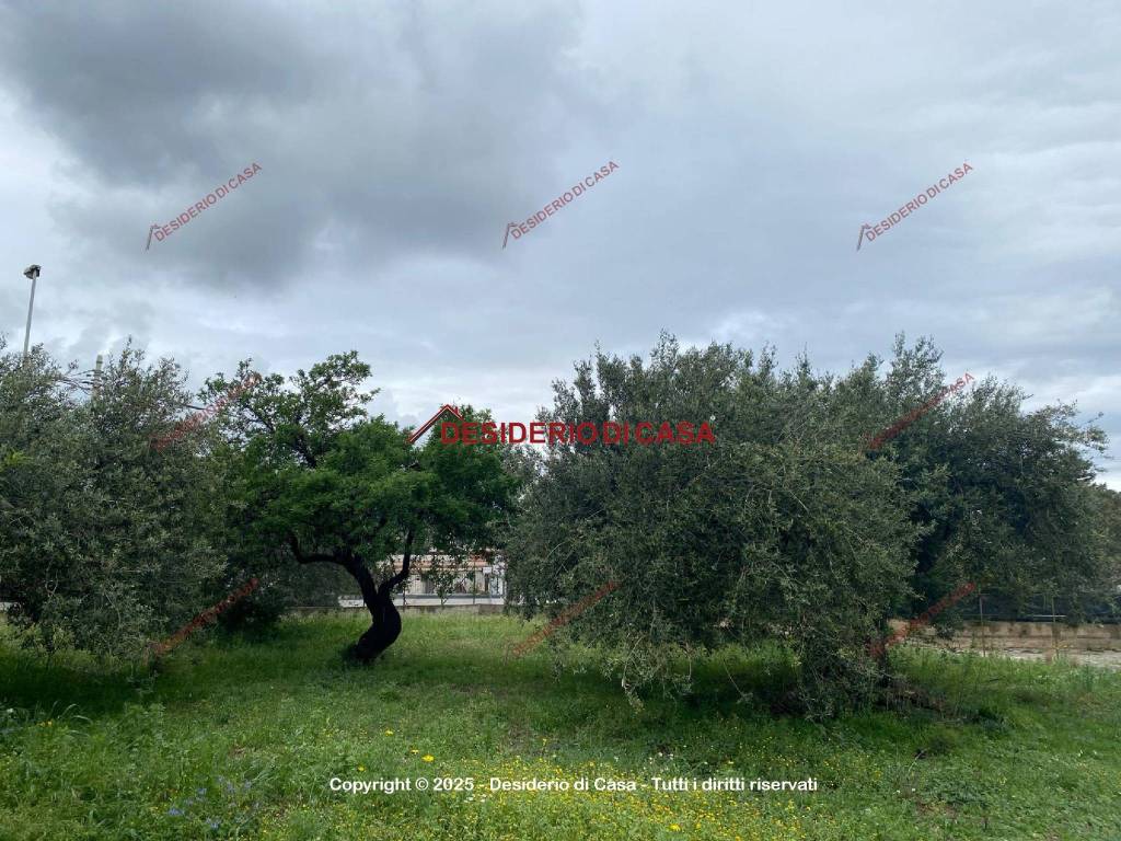 immagine annuncio 3 di 9