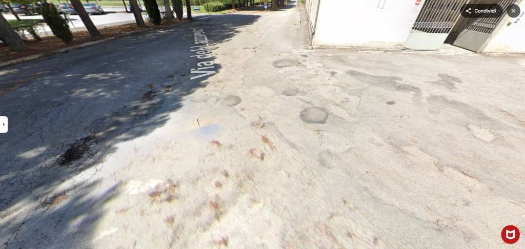 immagine annuncio 2 di 12