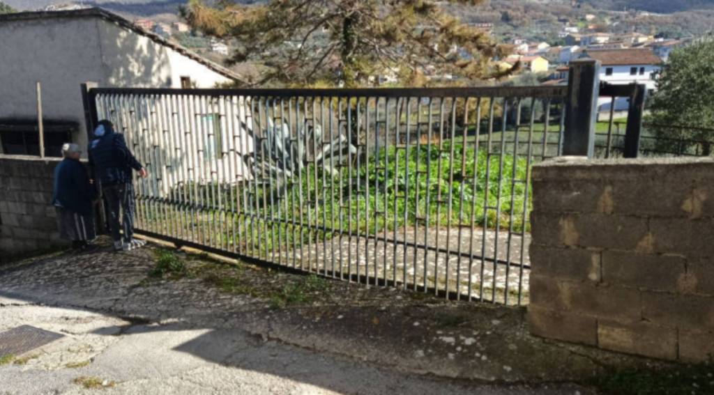 immagine annuncio 2 di 14