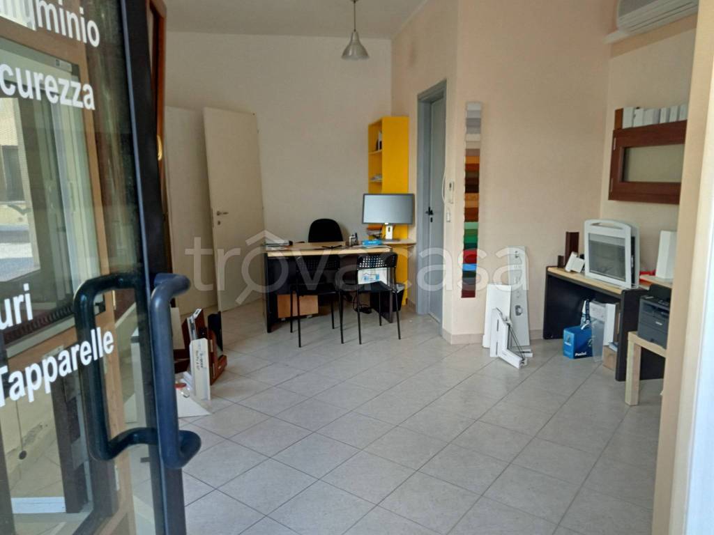 immagine annuncio 2 di 6