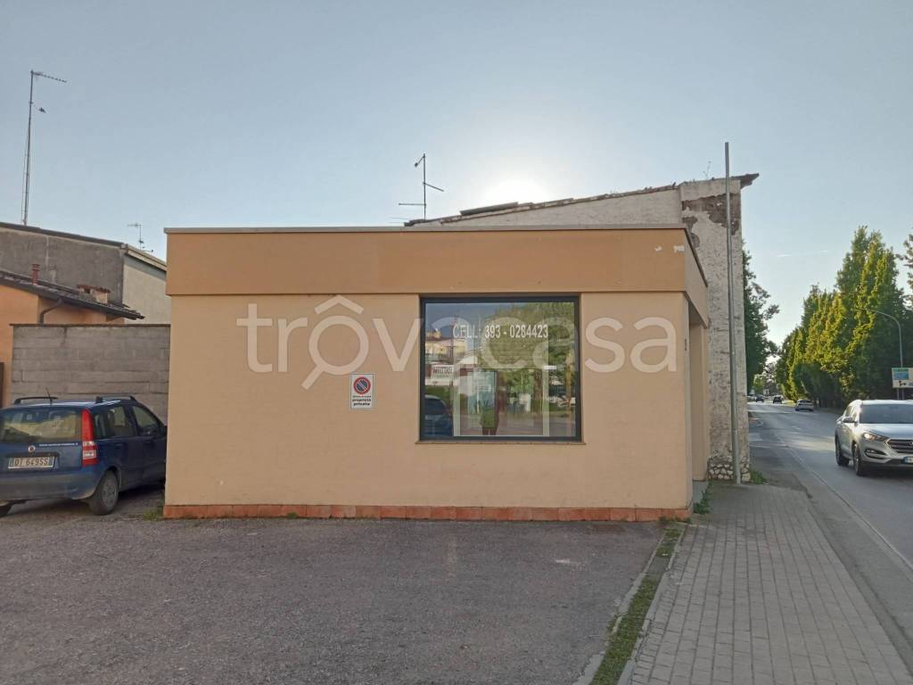 immagine annuncio 5 di 6