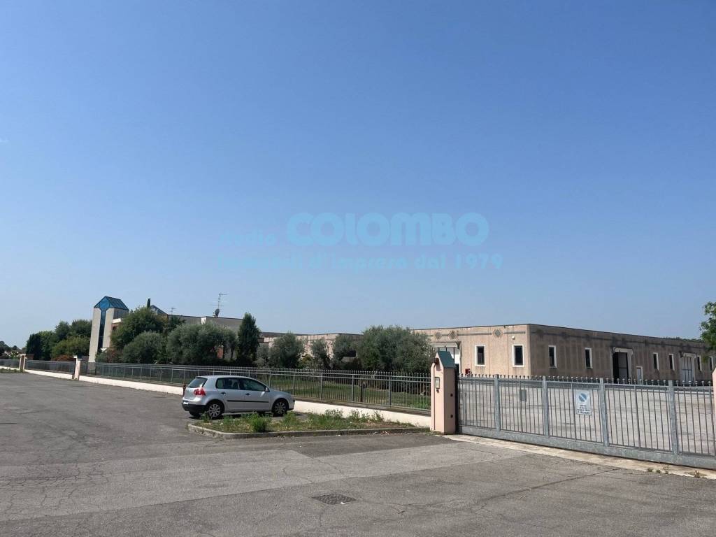 immagine annuncio 1 di 15