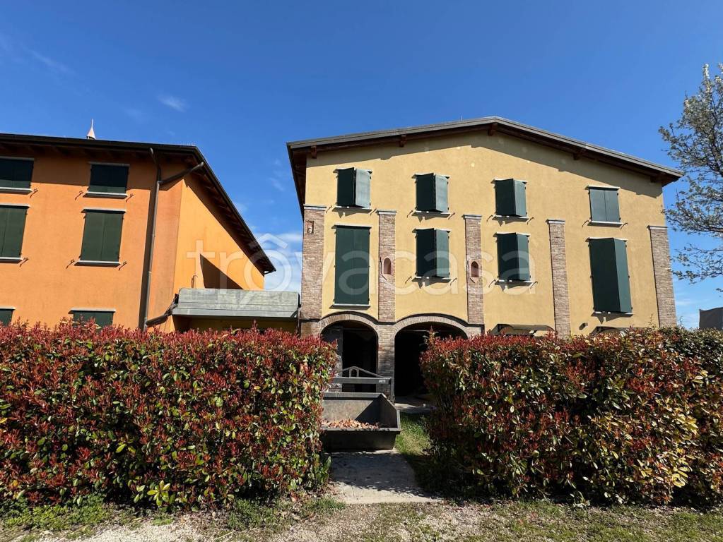 immagine annuncio 3 di 11