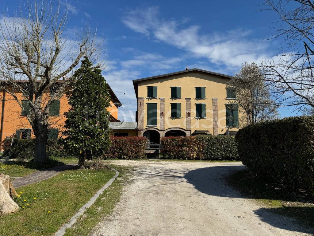 immagine annuncio 5 di 11
