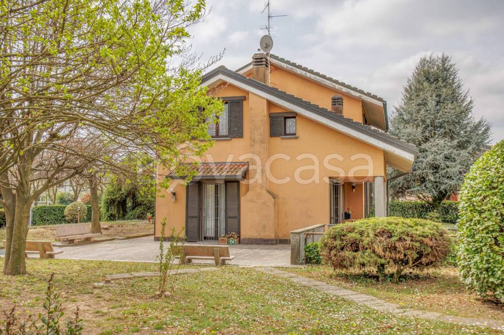 immagine annuncio 3 di 15