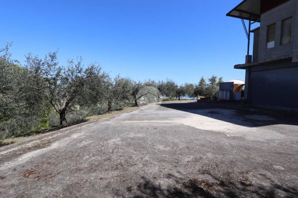 immagine annuncio 3 di 13