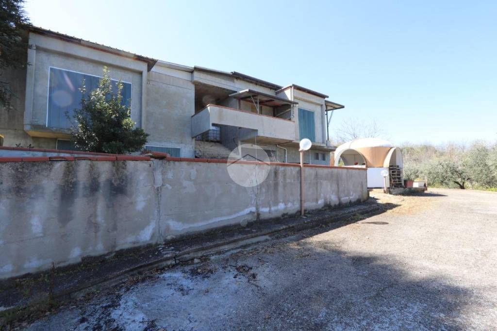 immagine annuncio 12 di 13