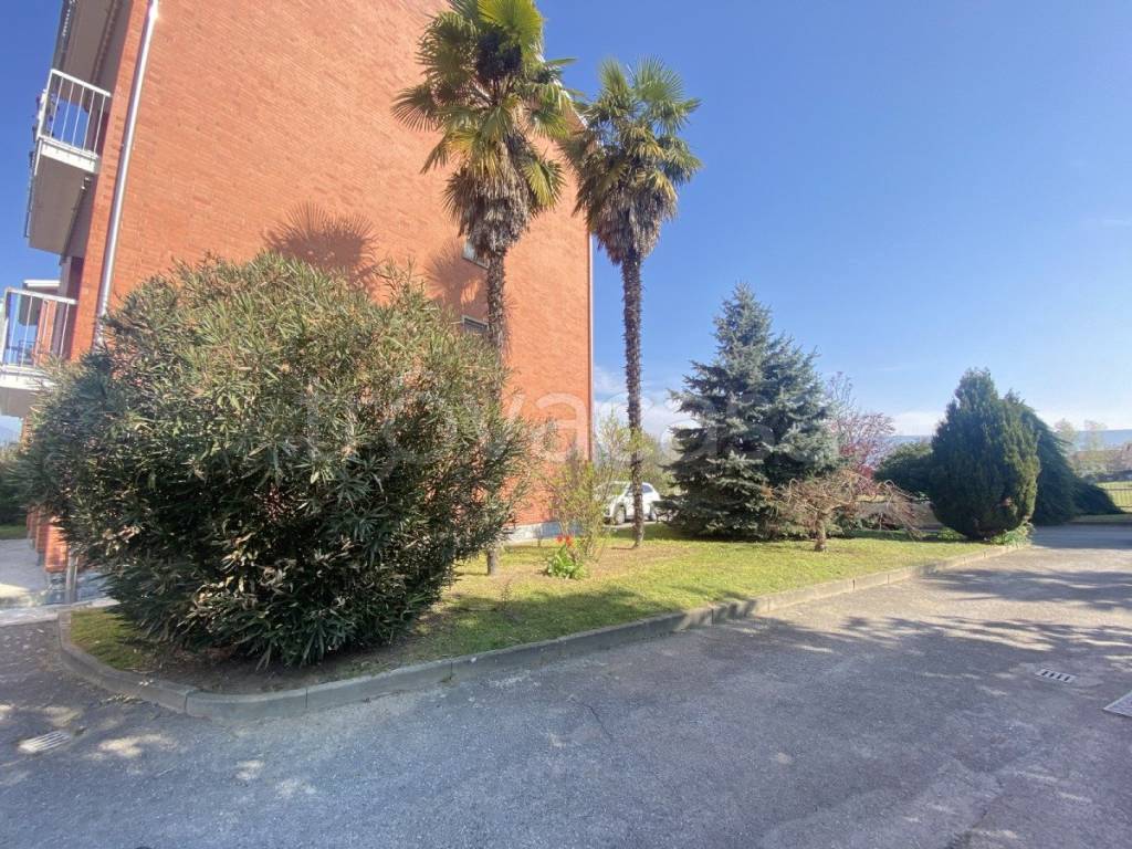 immagine annuncio 2 di 12