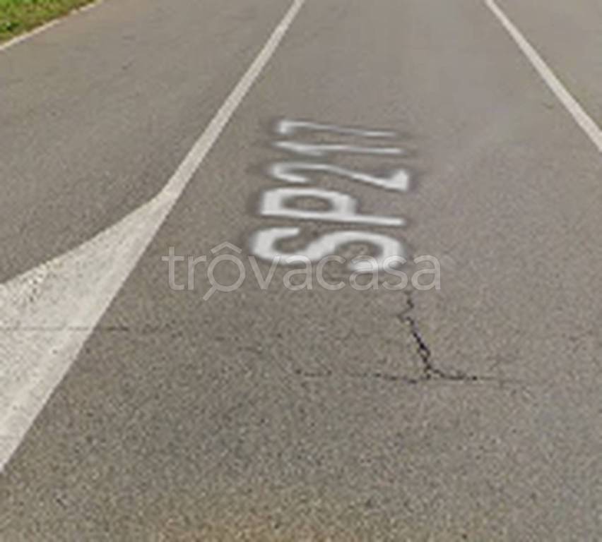 immagine annuncio 9 di 12