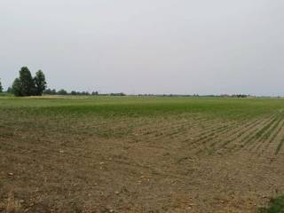Terreno agricolo in vendita a ferrara 
