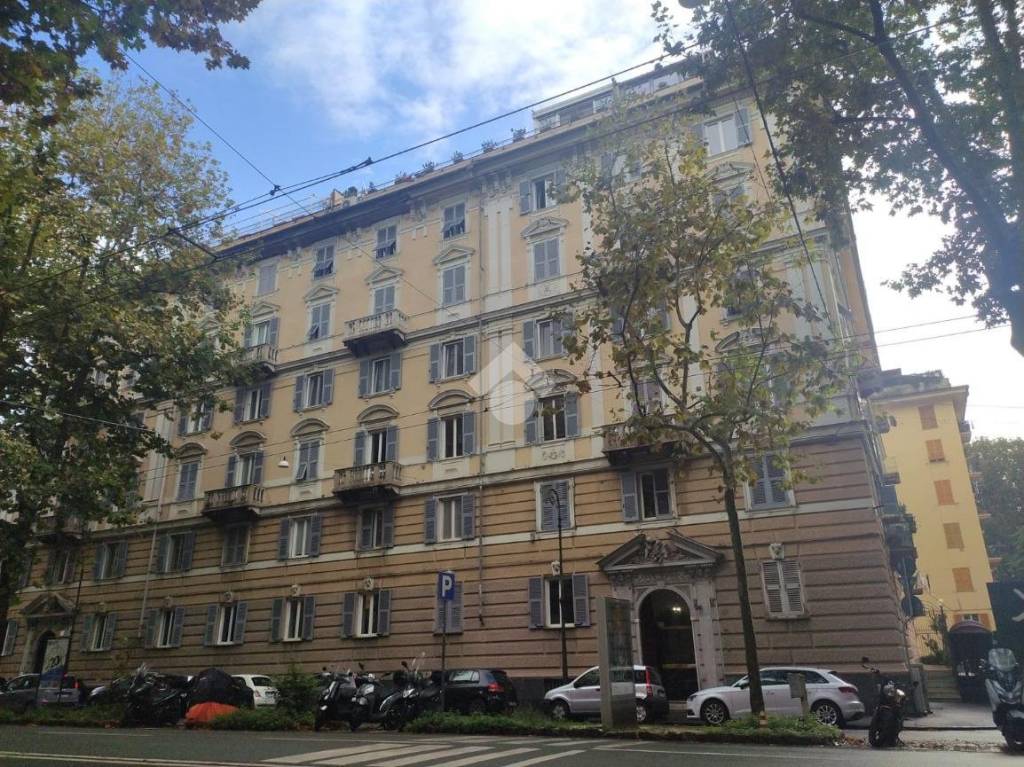immagine annuncio 2 di 7